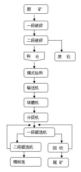 2024澳门开门奖结果