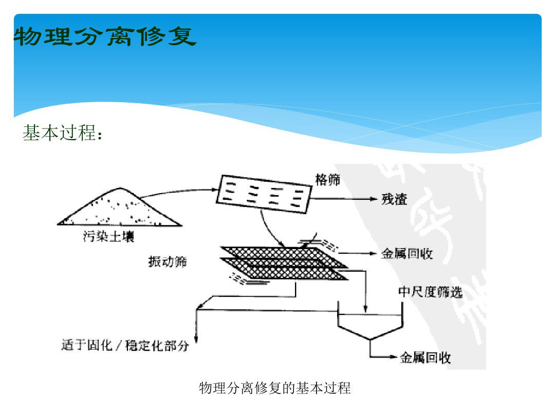 2024澳门开门奖结果